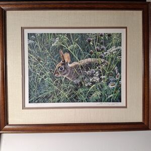 Framed Original Art- John Seerly Lester - Cottontail Bunny